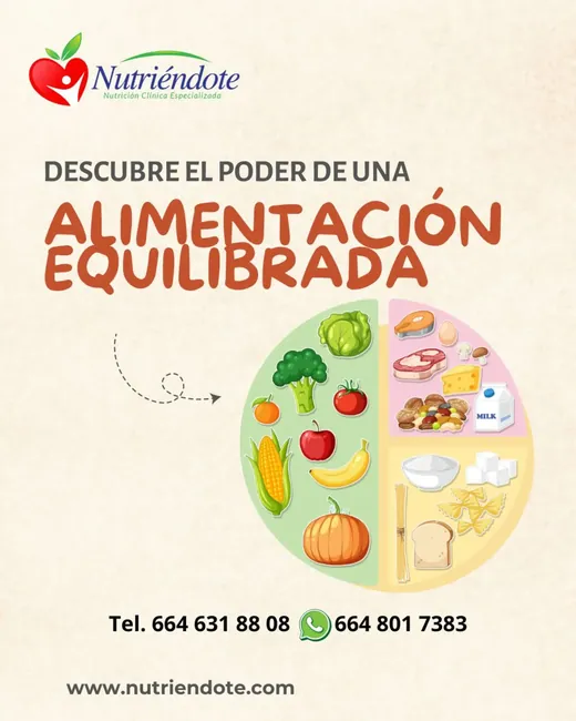 Descubre el poder de una alimentación equilibrada