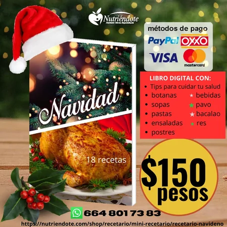Libro 18 Recetas de Navidad